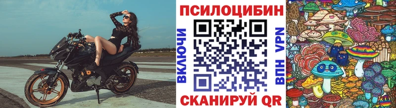 Псилоцибиновые грибы мицелий  Ершов 